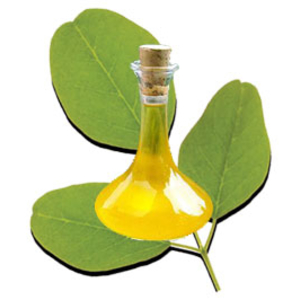 MORINGA OIL